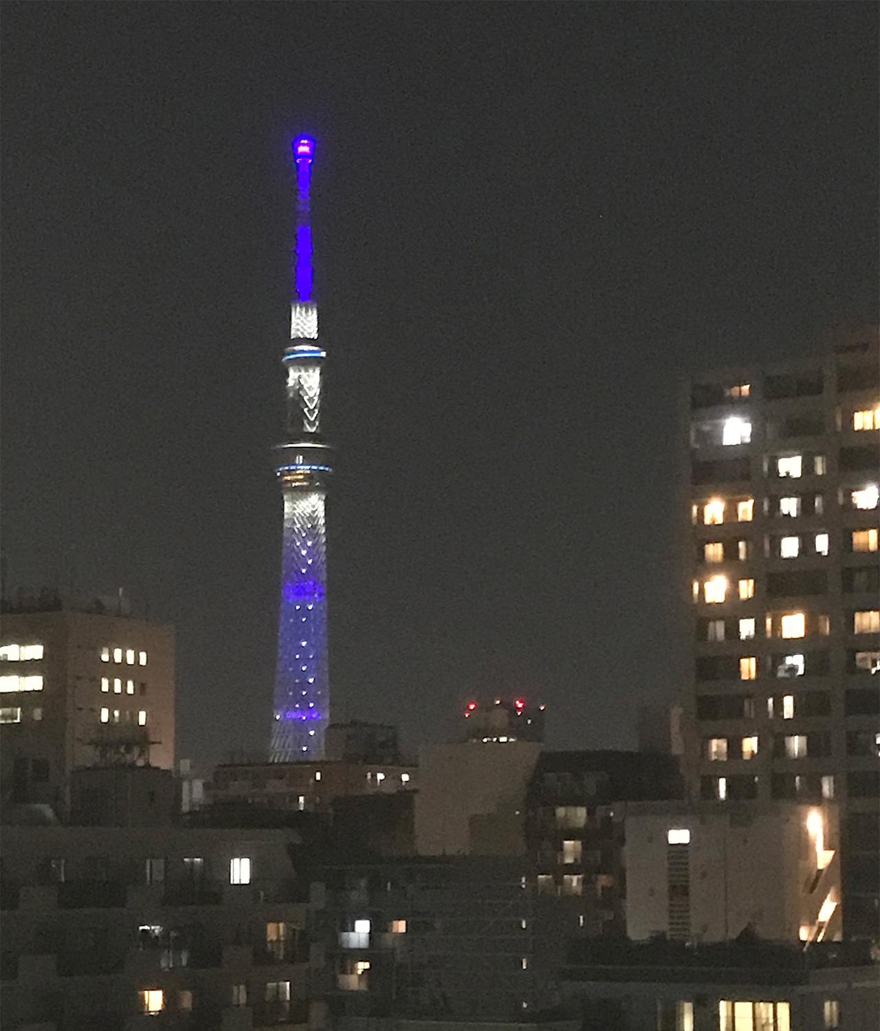 東京支社-夜の景色